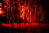 bushfire photo