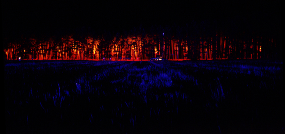 bushfire front view