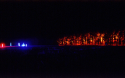 bushfire from behind